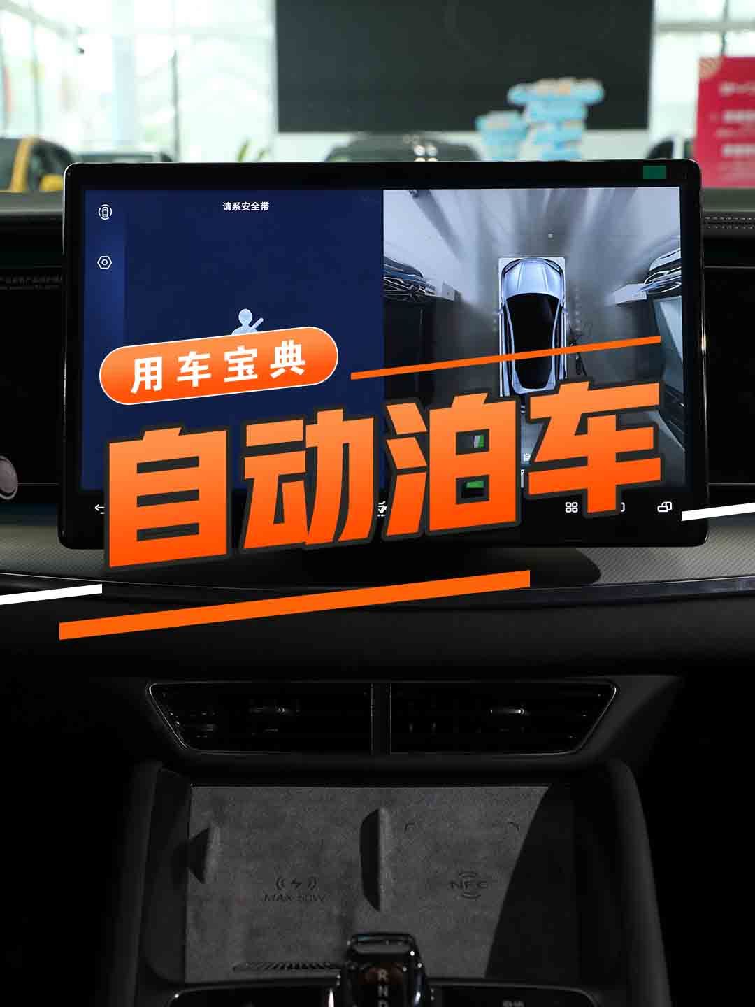 自动泊车