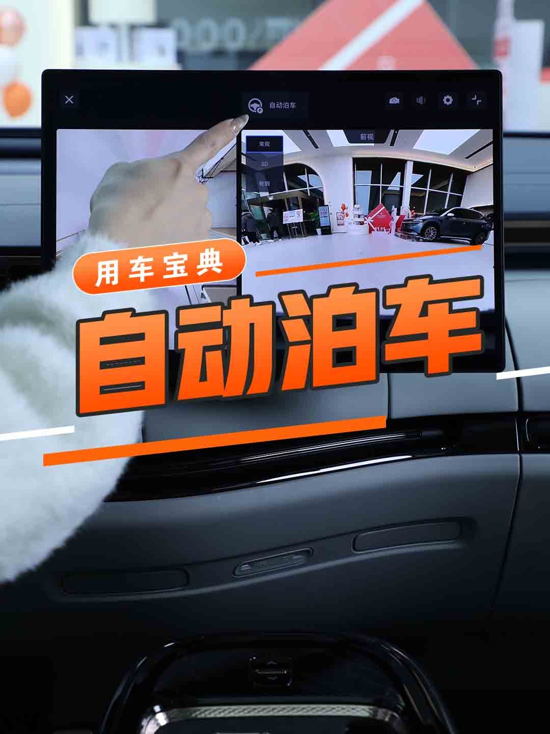 自动泊车