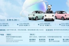 牽手“國寶熊貓”組成治愈系CP 吉利熊貓mini正式出道3.99萬元起售