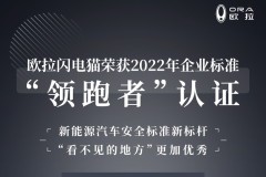 實力引領，歐拉閃電貓獲2022年度汽車行業企業標準“領跑者”證書