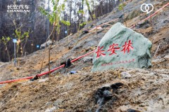 共建生態(tài)文明，守護綠色家園，長安汽車植樹節(jié)有大動作