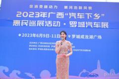 2023年广西“汽车下乡” 罗城汽车展盛大开幕