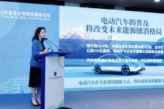 杜蘭：人工智能+新能源汽車將改變能源儲消格局