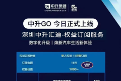 深圳中升奥迪丨中升GO商城-数字化升级