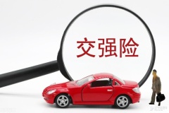 车辆交强险查询系统，汽车保险电子保单查询