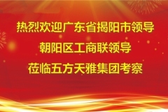 广东省揭阳市领导及北京市朝阳区工商联领导莅临五方天雅集团考察