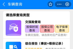 汽車(chē)交強(qiáng)險(xiǎn)查詢(xún)，車(chē)輛維保記錄查詢(xún)