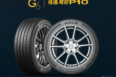 霸榜十二生肖，貓貓有多厲害？輪胎品牌排行榜有哪些“喵”系胎？