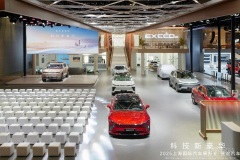 外國友人點贊星途汽車：國際化視野下的品牌崛起