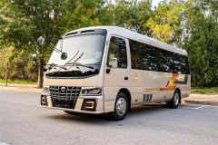 豐田考斯特12座豪華版4.0排量新報價
