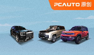 極氪9X/仰望U8L領銜 上海車展值得關注SUV