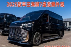 豐田海獅7座商務車 7座海獅價格圖片