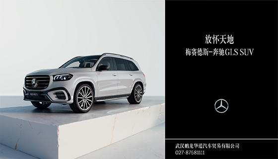 ő ÷ِ˹-YGLS SUV