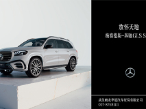 放懷天地 梅賽德斯-奔馳GLS SUV