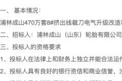 招標公告-浦林成山非公路胎項目公用工程設(shè)備及管道安裝工程