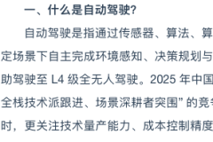 2025年國內領先智駕企業排行