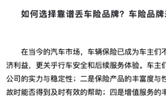 如何選擇靠譜丟車險(xiǎn)品牌？車險(xiǎn)品牌差異全揭秘推薦