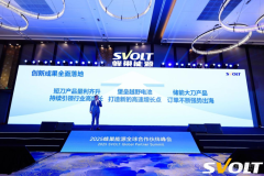 動力電池企業如何突圍？蜂巢或許能給到一些啟發