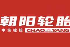 科技創(chuàng)新下，詳解2025汽車輪胎品牌選購