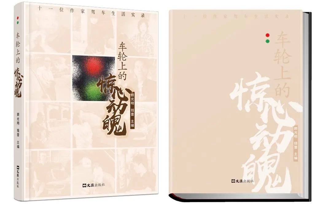 楊揚(yáng)：遇見(jiàn)碰瓷（上）|《車(chē)輪上的驚心動(dòng)魄》