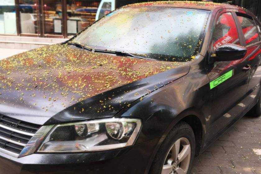 秋季雨后樹葉落在車上，對車子有哪些損害？