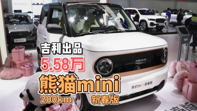 熊猫mini新春版车型指导价5.58万