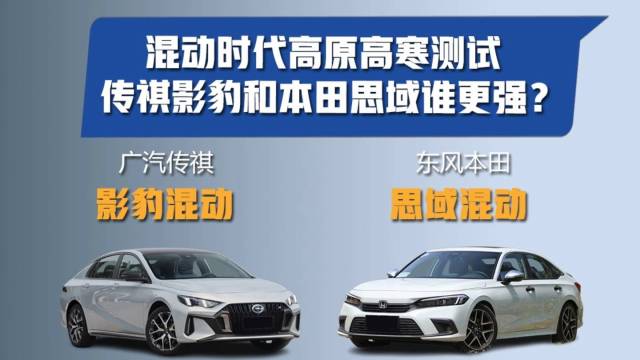 混动时代高原高寒测试，影豹对比思域