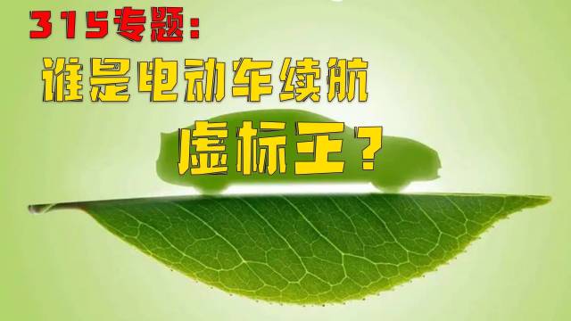 315专题：谁是电动车续航虚标王？