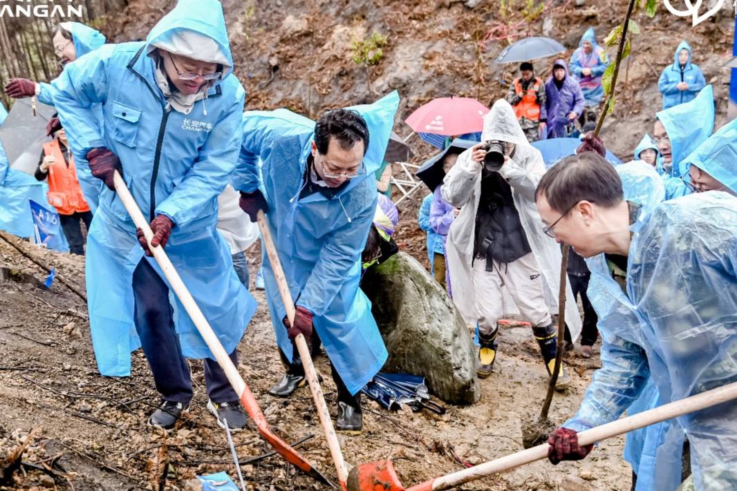 讓茶油一路飄香，長安汽車幫扶鋪就鄉村振興“共富”路