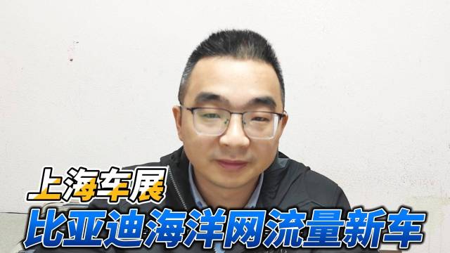 上海车展 比亚迪海洋网两款流量新车