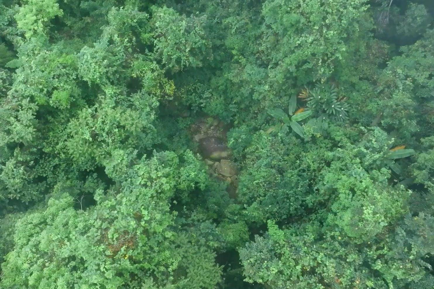 用科技保护神秘的海南岛，比亚迪已经在行动！