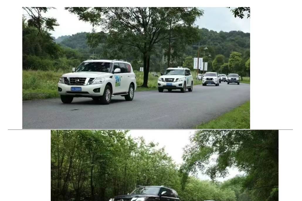 【在广东·途个乐】畅游仙湖营地，奢享雨后盛景 