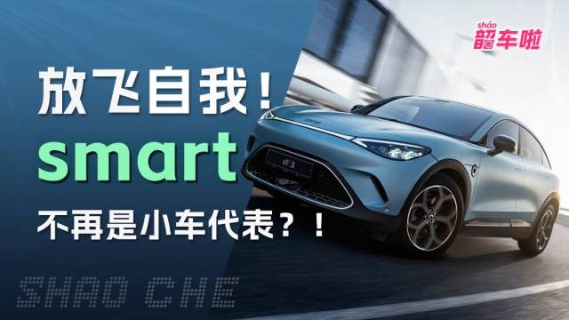 放飞自我！smart不再是小车代表？！