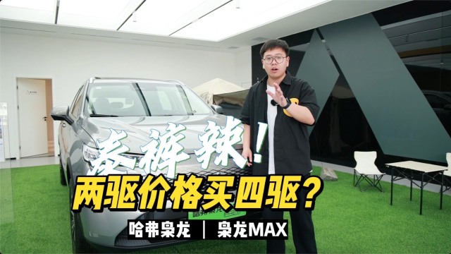 哈弗枭龙max这波有点狠！