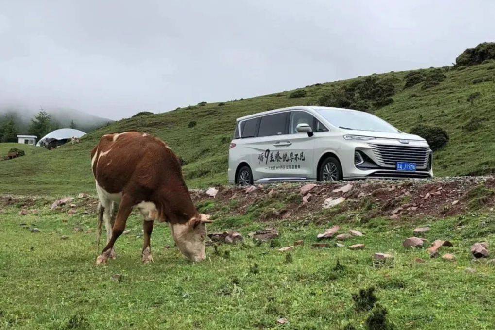 試駕奔騰M9：濕滑盤山路也能開出轎車靈動感