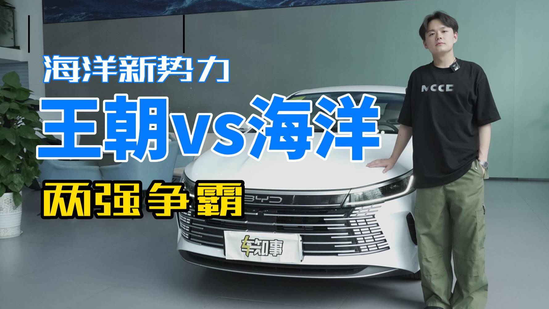 海洋新勢(shì)力 兩強(qiáng)爭(zhēng)霸 王朝vs海洋