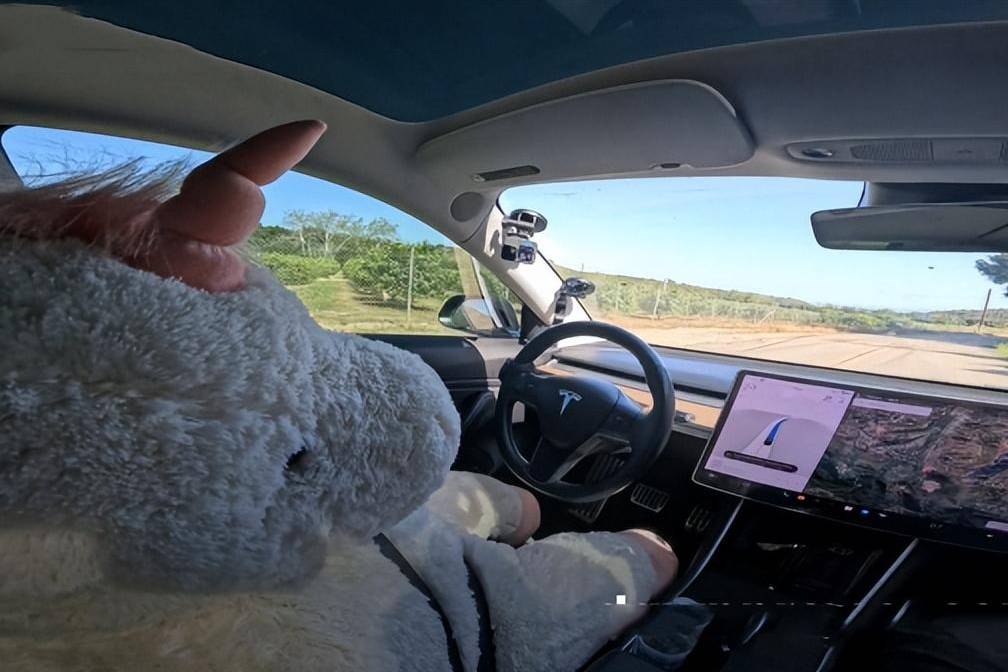特斯拉FSD被曝缺陷，“玩具熊”开车居然不能识别，荒唐至极！