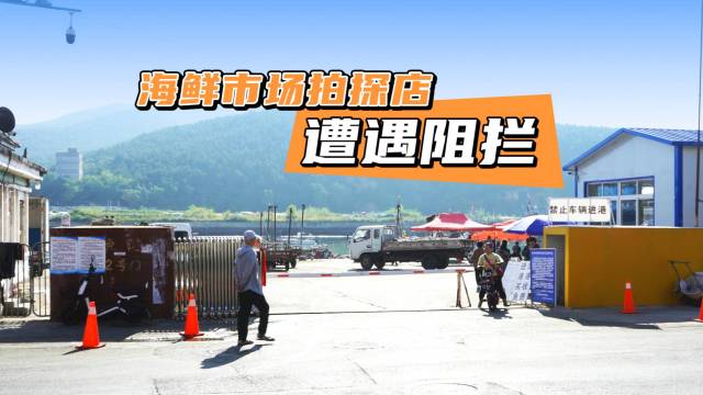 自驾新哈弗H5打卡海鲜市场