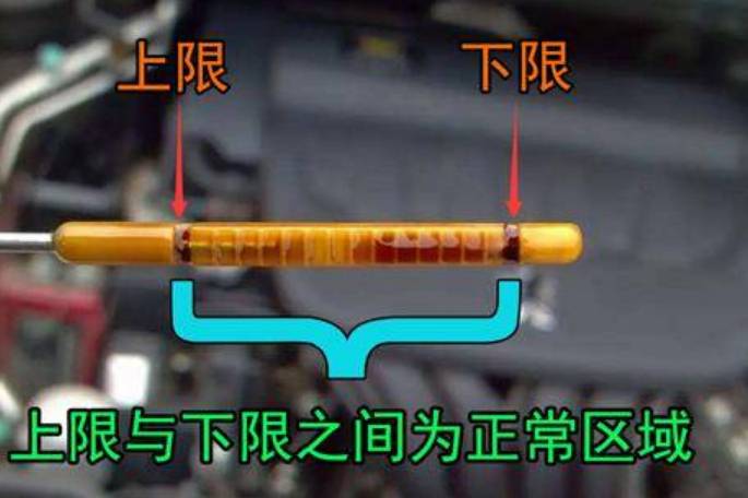 汽車機(jī)油尺標(biāo)準(zhǔn)位置圖，機(jī)油尺怎么看圖解