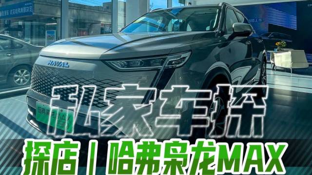 哈弗枭龙MAX，全能电四驱新能源SUV