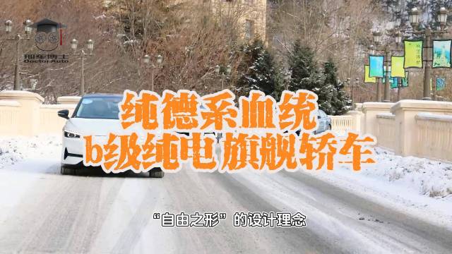 纯德系血统 b级纯电旗舰轿车