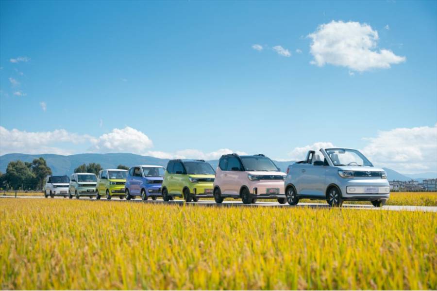 商務部：組織開展新能源汽車下鄉