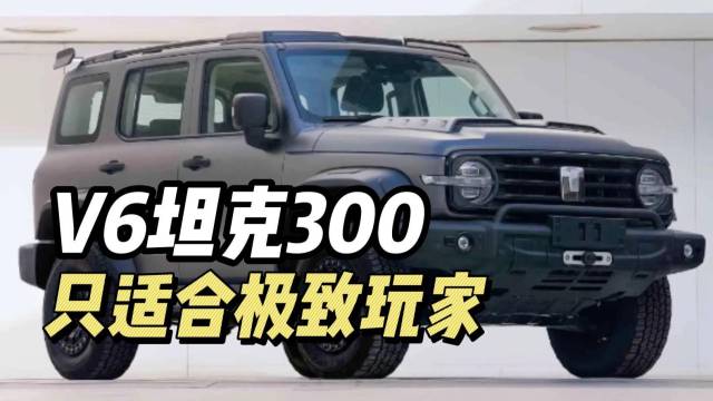 V6发动机的坦克300，只适合极致玩家