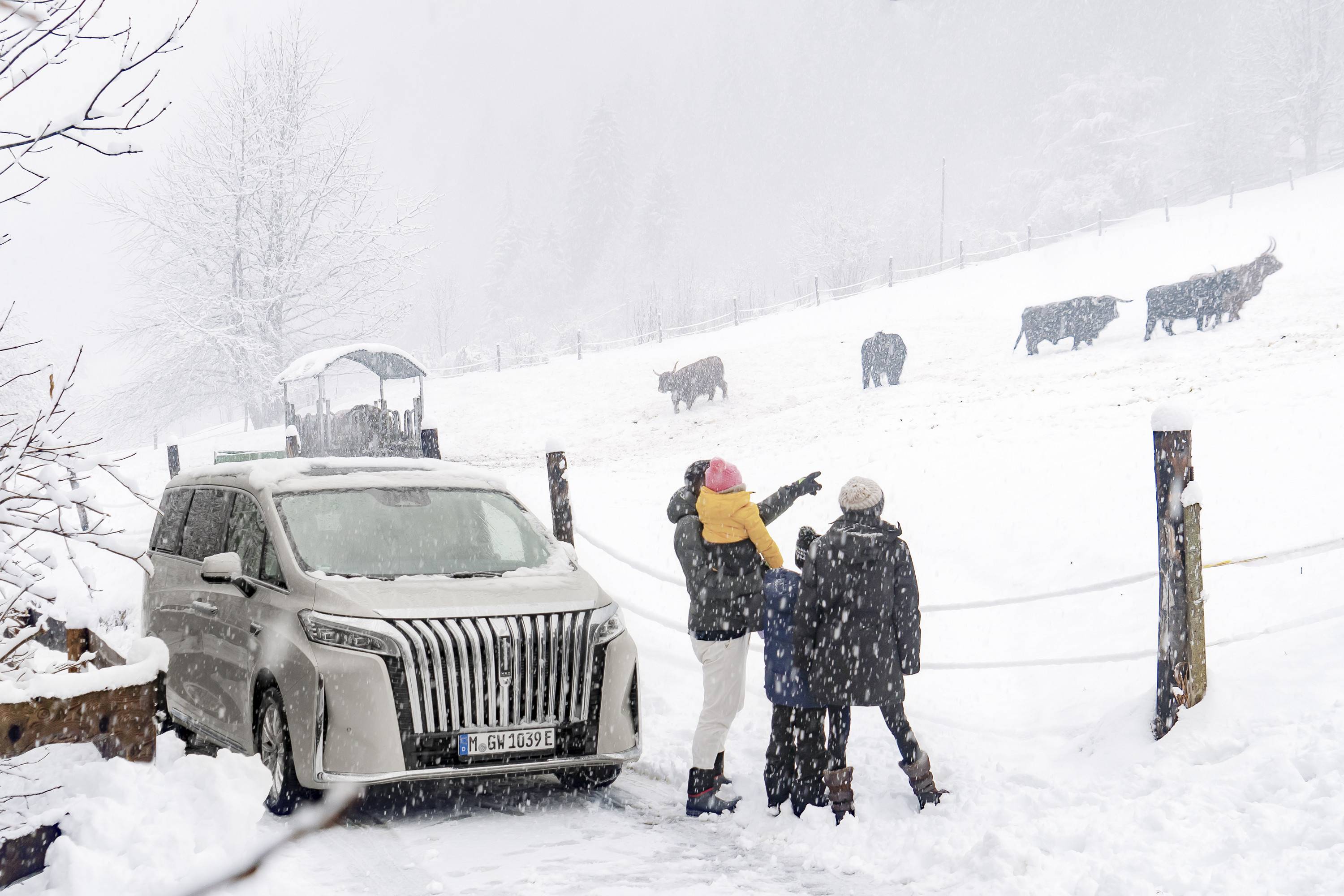 中國小土豆遠征歐洲，在冰雪中遠眺阿爾卑斯山脈