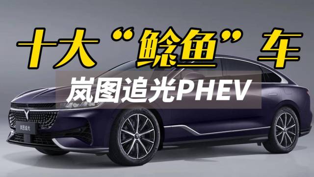 2023十大价格鲶鱼车——岚图追光