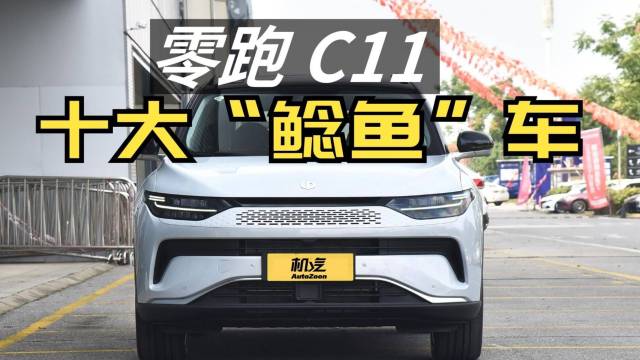 2023十大价格鲶鱼车——零跑C11