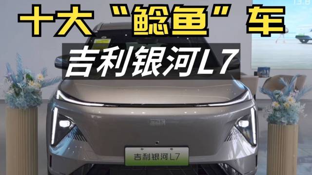 2023十大价格鲶鱼车——吉利银河L7