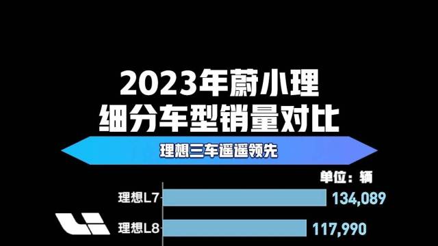 2023年蔚小理细分车型销量对比