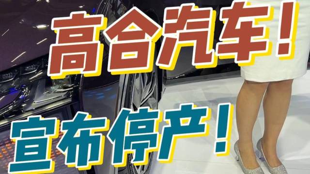 高合汽车宣布停工停产6个月