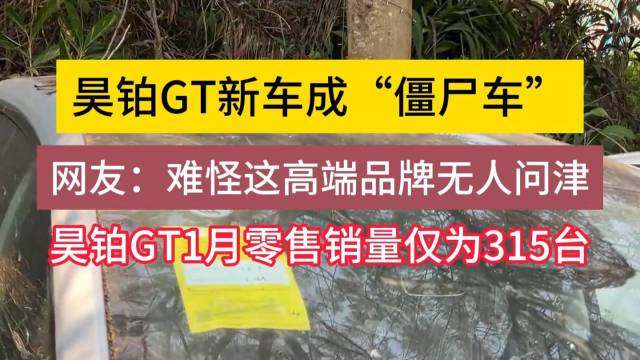 网友：昊铂GT新车成“僵尸车”？